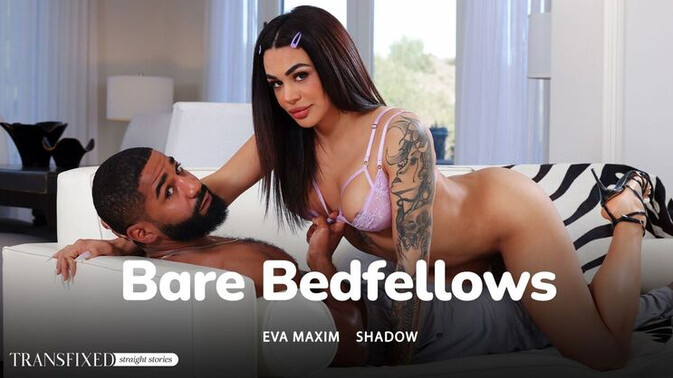 Transfixed - Shadow - Eva Maxim - Interracial Anal Affairs / 10.05.2024